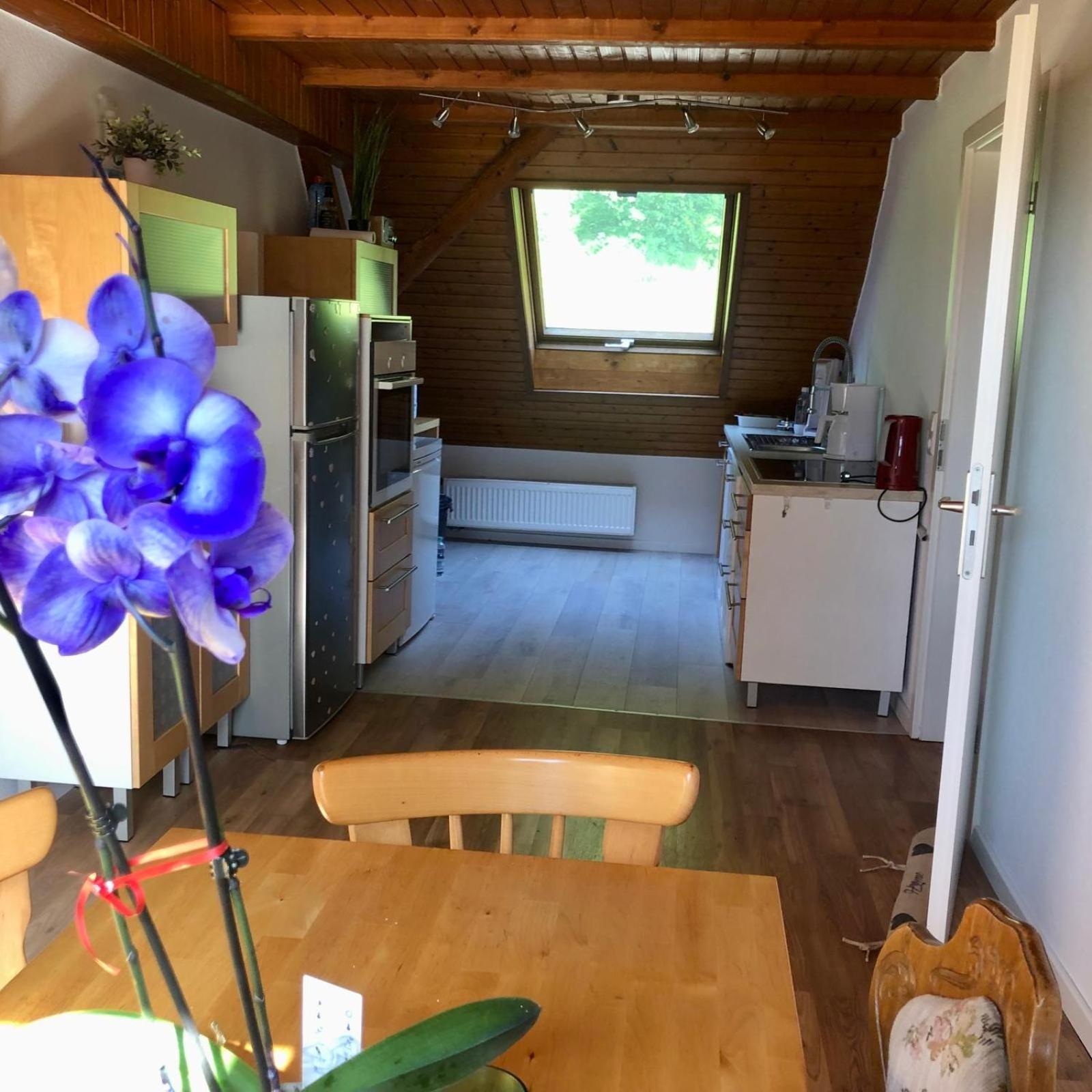 מלון Ferien Im Schwarzwald פריאמט מראה חיצוני תמונה
