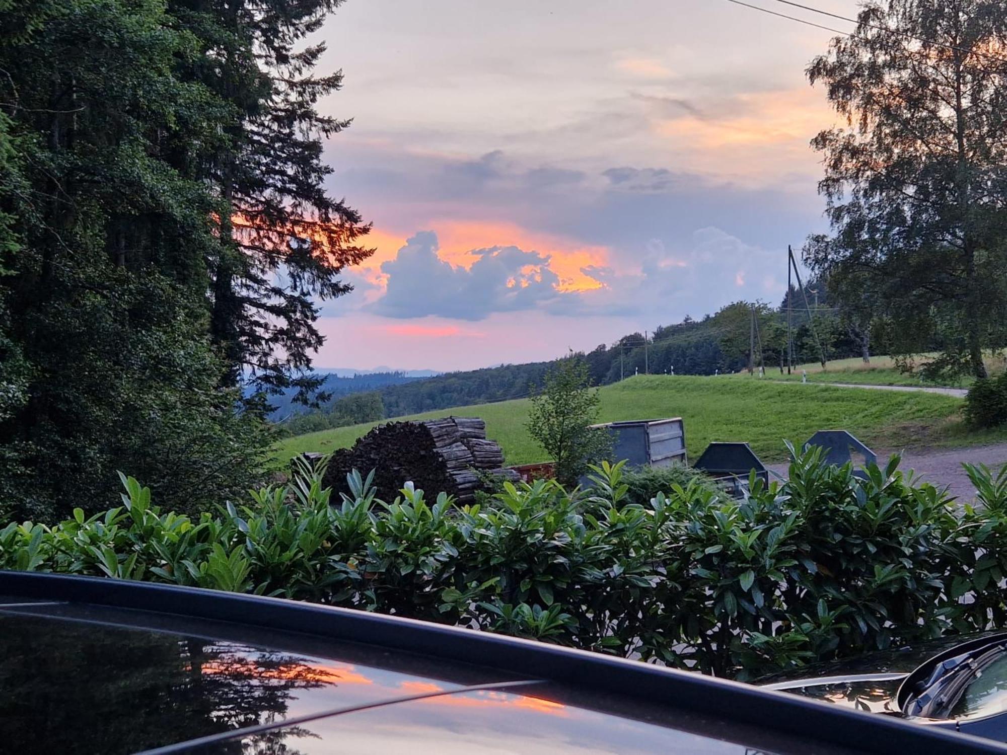 מלון Ferien Im Schwarzwald פריאמט מראה חיצוני תמונה