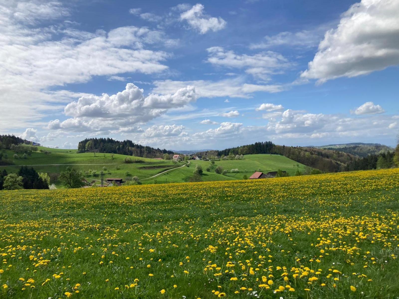מלון Ferien Im Schwarzwald פריאמט מראה חיצוני תמונה