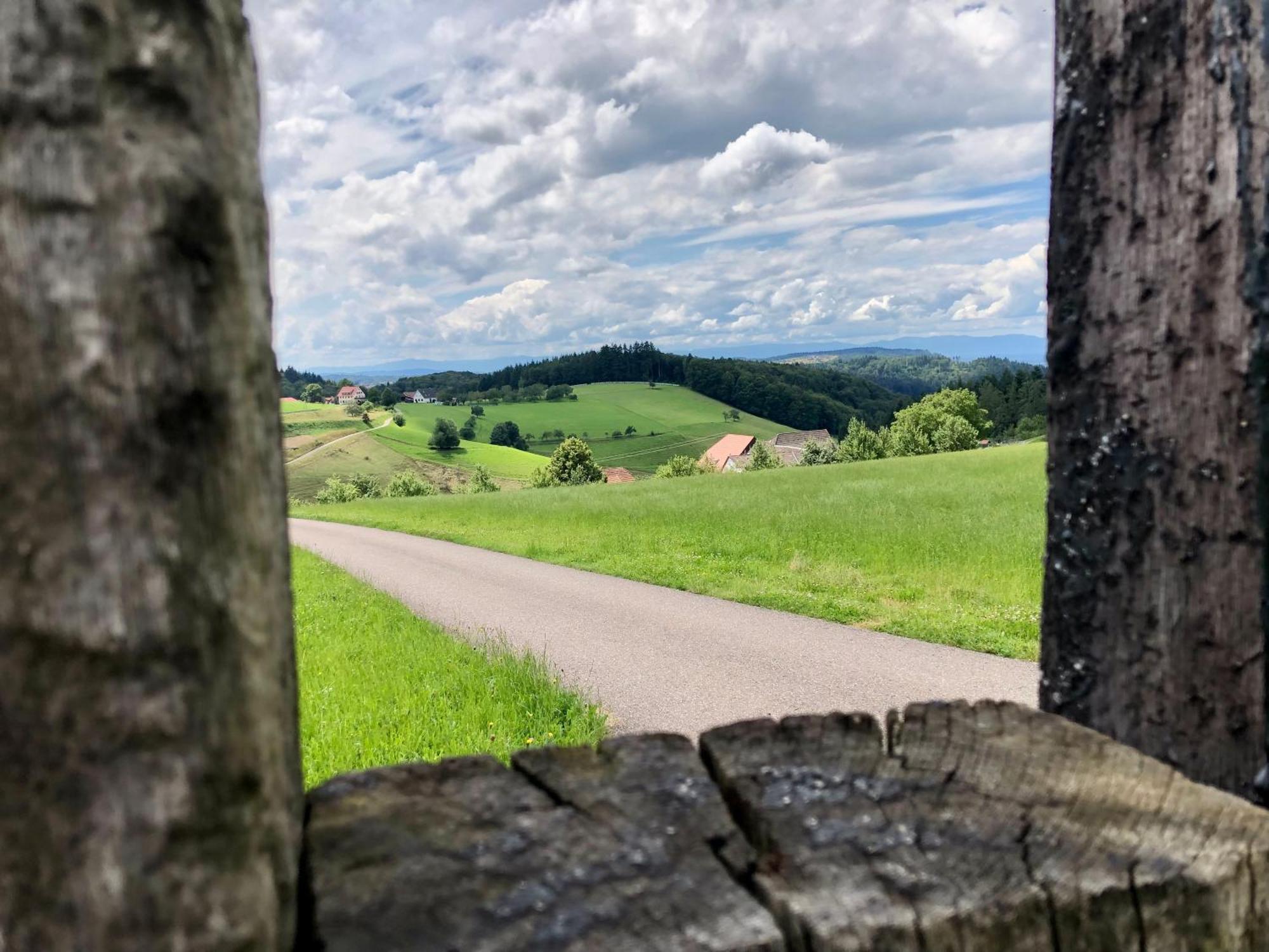 מלון Ferien Im Schwarzwald פריאמט מראה חיצוני תמונה