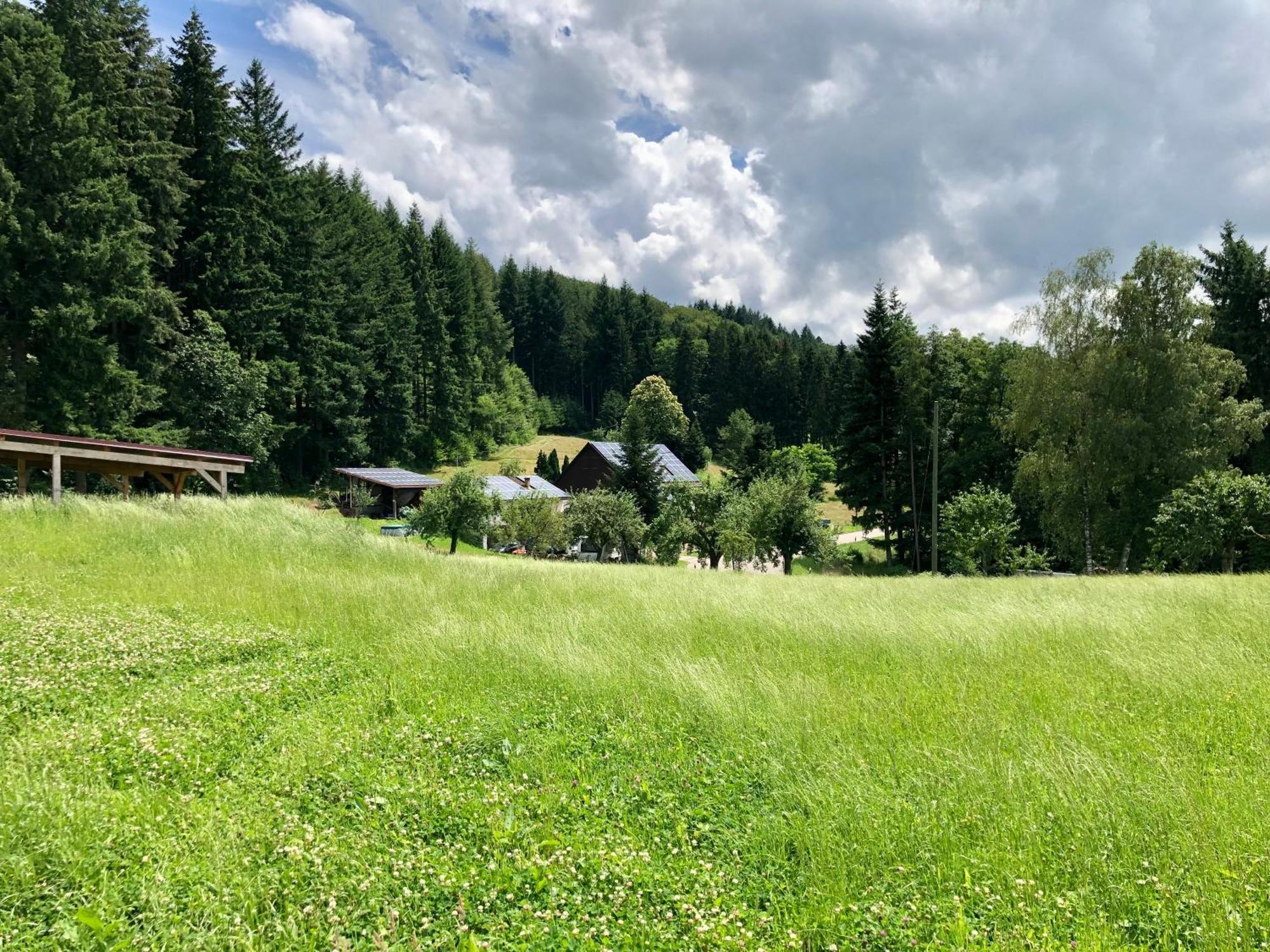 מלון Ferien Im Schwarzwald פריאמט מראה חיצוני תמונה