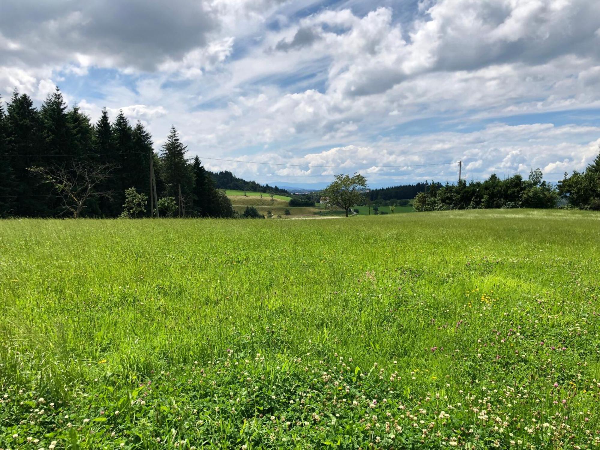 מלון Ferien Im Schwarzwald פריאמט מראה חיצוני תמונה